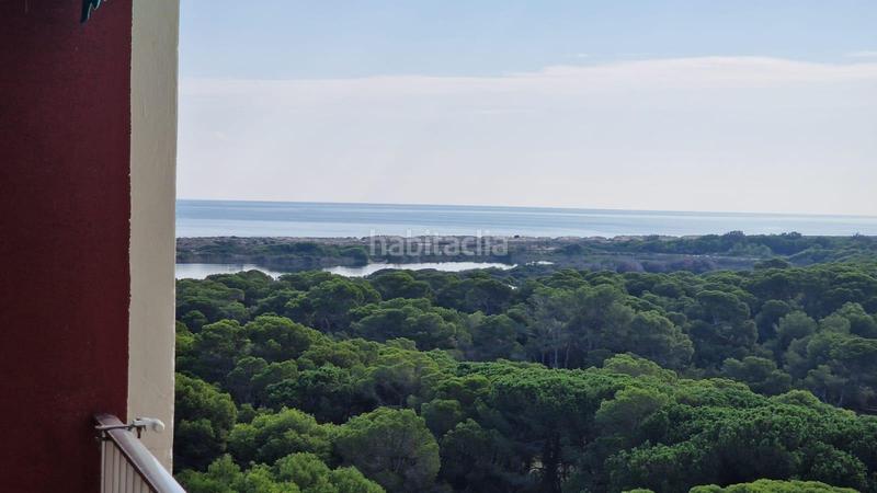 Foto 6b94305a-4034-43df-ab3e-60f0c8931e53. Rent flat with parking pool in El Saler Valencia