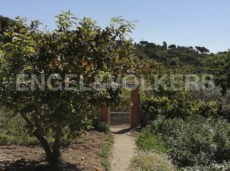 Foto 1f3f0b9a-13a3-4a39-a2fc-8e801bda9478. Terreno residencial magnifico terreno soleado en Castellbisbal