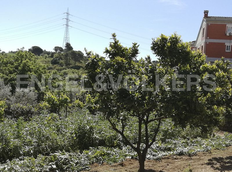 Foto 5b36cd28-804e-4d53-8e6b-5228f43e59fa. Terreno residencial magnifico terreno soleado en Castellbisbal
