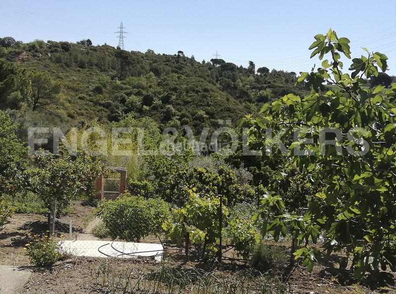Foto 91149deb-cd1f-45f3-8ec8-cad36b3de349. Terreno residencial magnifico terreno soleado en Castellbisbal