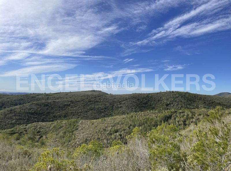 Foto 3a882970-b97a-4d58-a99d-f5cba65e111a. Masia a Montmell (El)