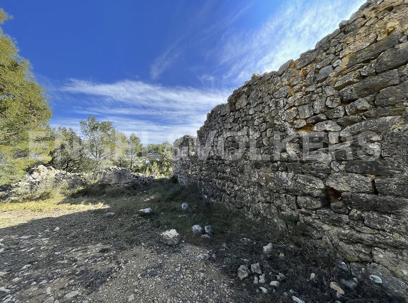 Foto 5c5f547d-4590-42d8-a010-0c8eb6734afc. Masia a Montmell (El)