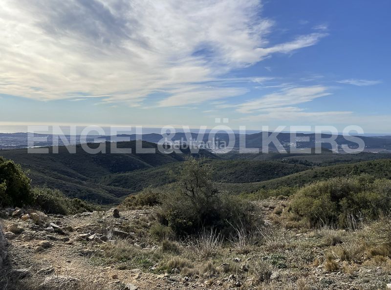 Foto 6024cef7-f7a1-4269-bd66-ba23af94acf1. Masia a Montmell (El)
