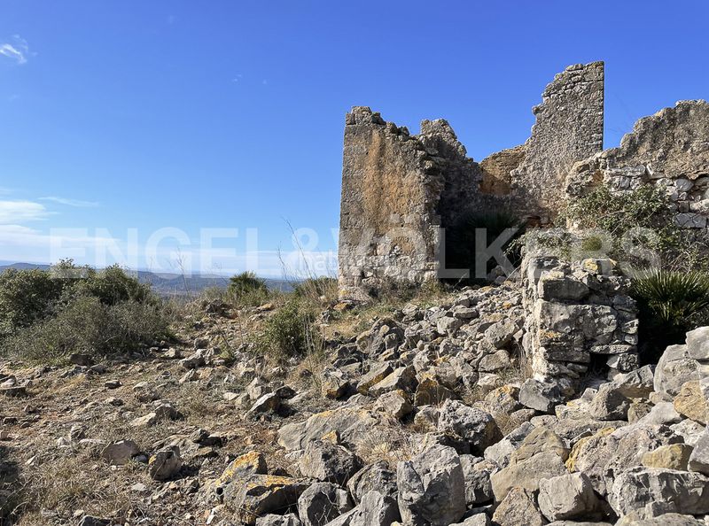 Foto 7d6f0a08-6cc1-4fa7-baae-0a070917d78d. Masia a Montmell (El)