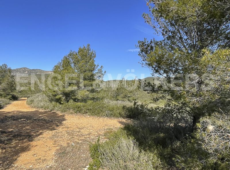 Foto 844dd1f1-ac5e-402d-8fdb-66772f2a8267. Masia a Montmell (El)