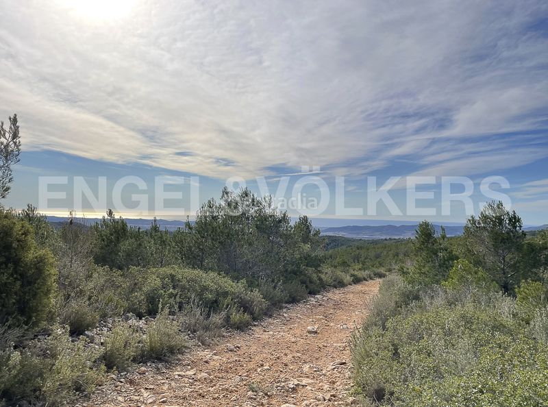 Foto 8b2d4dcc-b423-4bf5-ac04-928ca75a3427. Masia a Montmell (El)