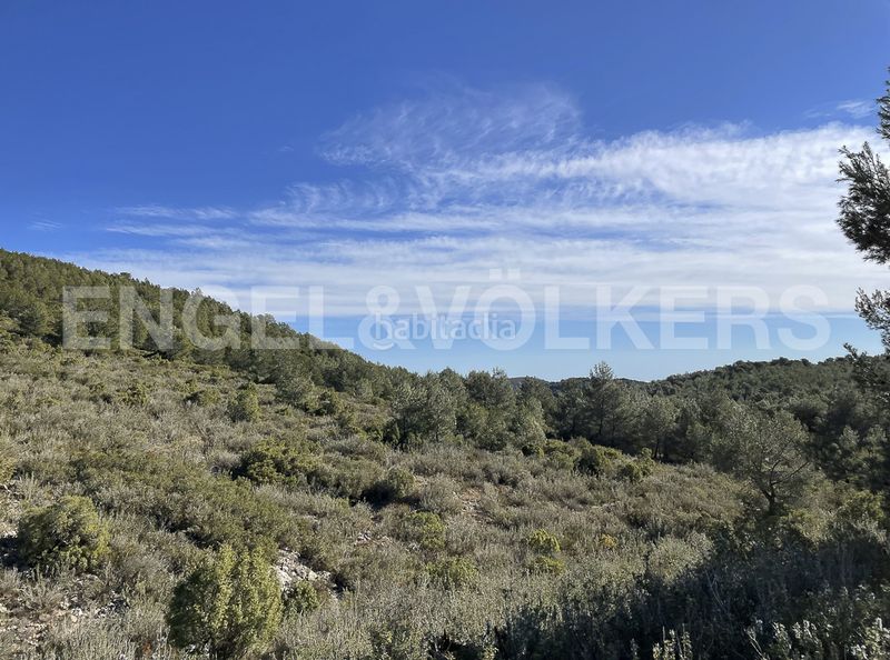 Foto 9182e336-ac0d-4337-8782-66d20ce56f64. Masia a Montmell (El)