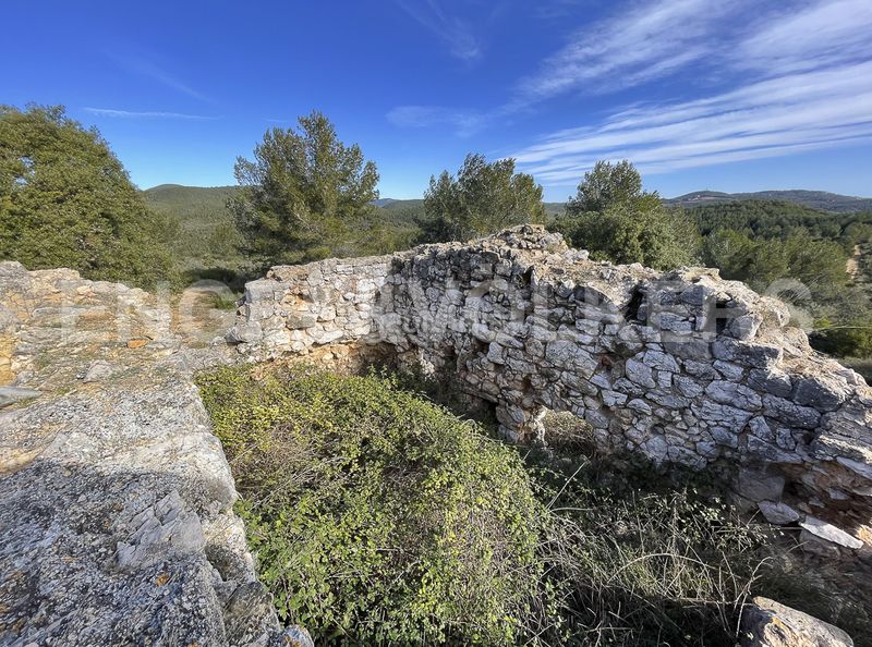 Foto b0b4b645-5a80-4c67-a86a-407a5e93c4a0. Masia a Montmell (El)