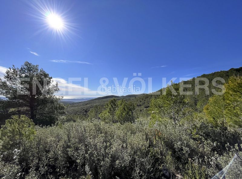 Foto ba66fc8c-5f32-41ae-b7fc-60fc11a53a95. Masia a Montmell (El)
