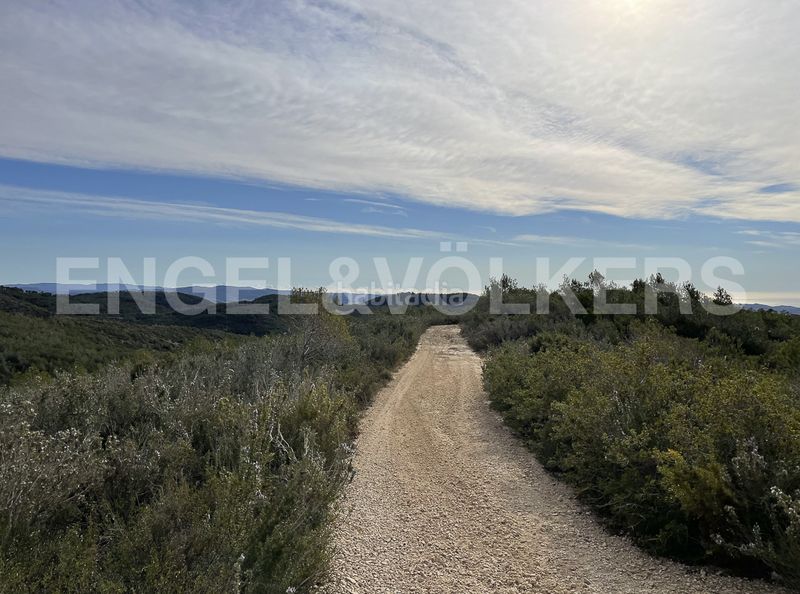 Foto c8b5ef72-6f7a-49b9-8782-22a6b4571daa. Masia a Montmell (El)