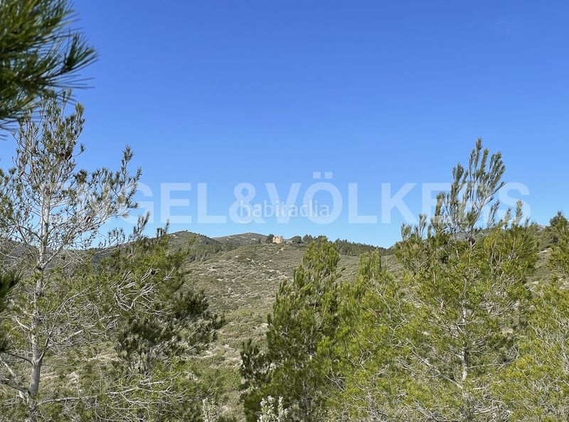 Foto d5ff79e3-da55-4c25-a158-fd1df695f8c7. Masia a Montmell (El)