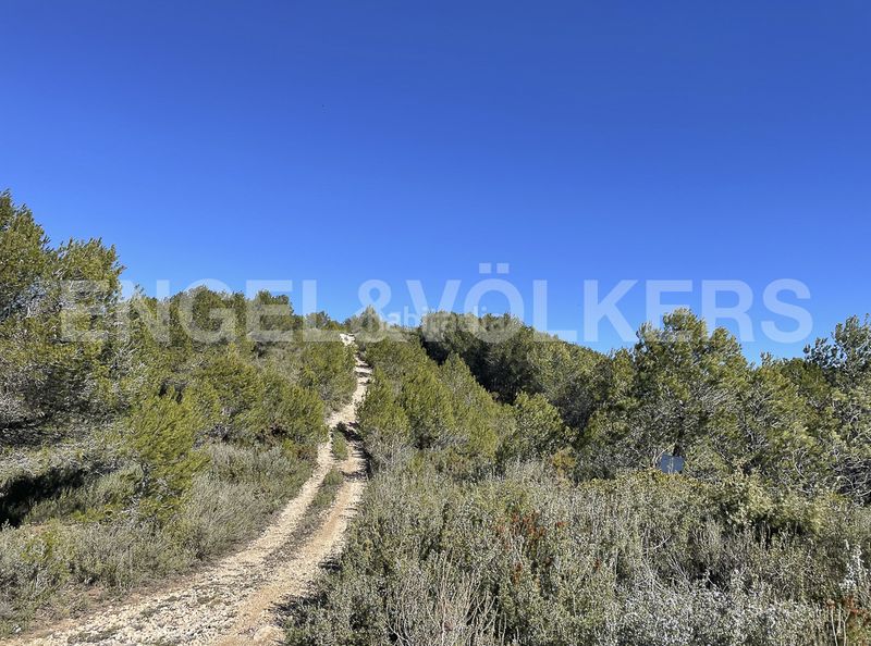 Foto ecd574ea-8035-43c3-9fef-1f92e1b807b2. Masia a Montmell (El)
