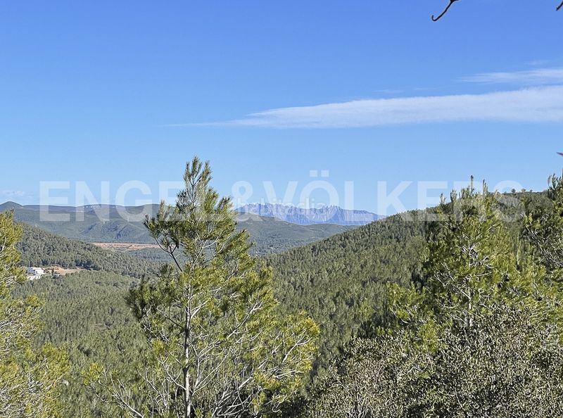Foto f73bd9c1-79f1-49d5-92e3-2ab888c08e6d. Masia a Montmell (El)