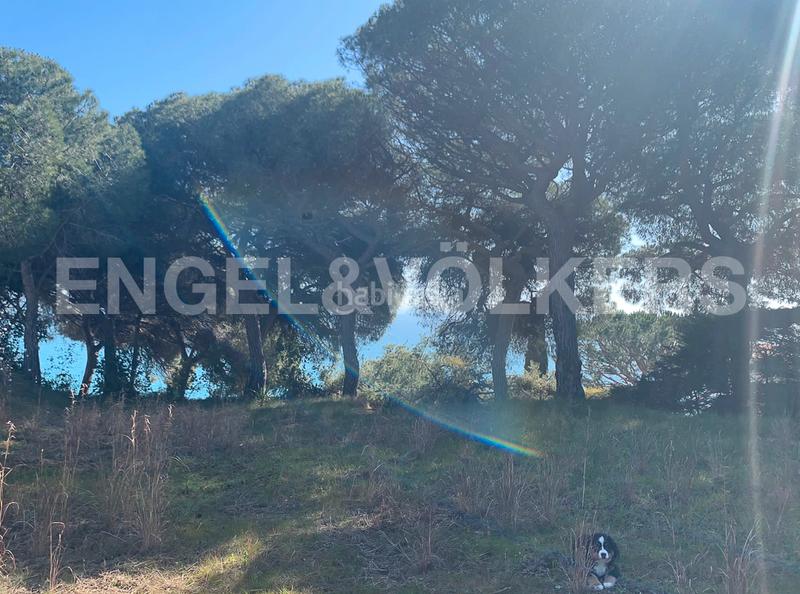 Foto 578d76bb-791e-4744-bee4-24ce0679f01d. Terreno residencial exclusivo terreno a vista mar en Arenys de Mar