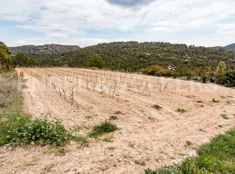 Foto a67aaaa0-bd45-4a9b-939e-056112f46844. Haus mit heizung parking in Castellet i la Gornal