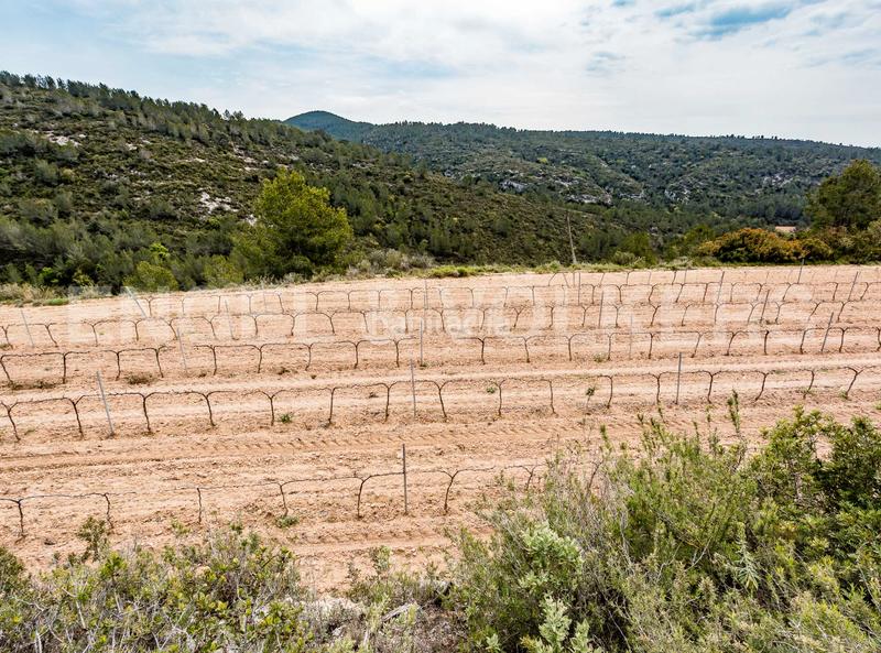 Foto e9a218b9-b2e7-4c20-b8cd-adcd659374c3. Haus mit heizung parking in Castellet i la Gornal