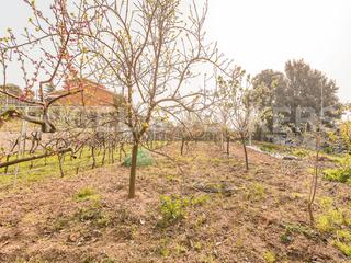 Terreny residencial a Ametlla del Vallès (L´). Terreno plano cerca del centro ametlla valles