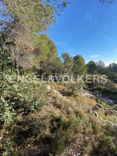 Foto 3f58e284-799c-43ee-ac20-e9dd5f3cdc64. Terreno residencial parcela amplia junto al bosque en Can Pei en Sitges