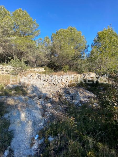 Foto 4b1916b0-ade8-44d1-a772-578e95d240b1. Terreno residencial parcela amplia junto al bosque en Can Pei en Sitges