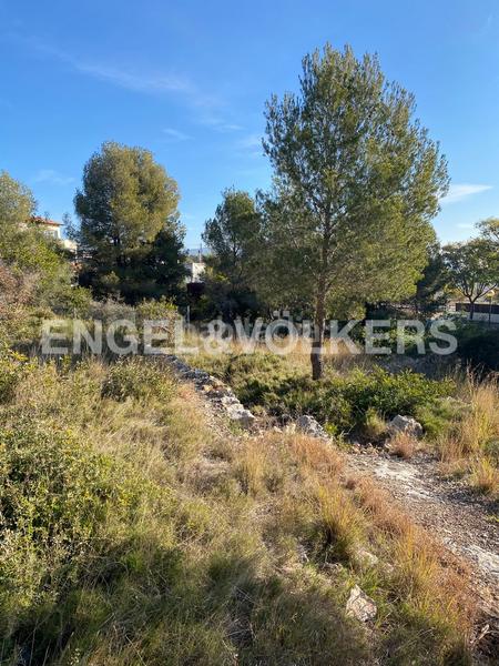Foto 4ca41af6-4225-4416-8953-bec97aa1fe8a. Terreno residencial parcela amplia junto al bosque en Can Pei en Sitges
