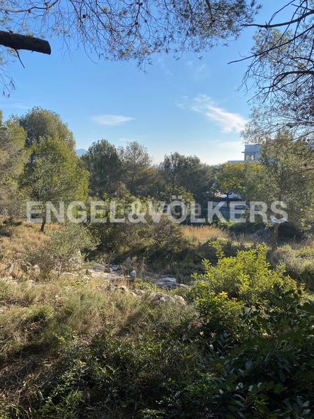 Foto a6ebcbe6-d906-40fa-bc32-abdf0bace233. Terreno residencial parcela amplia junto al bosque en Can Pei en Sitges
