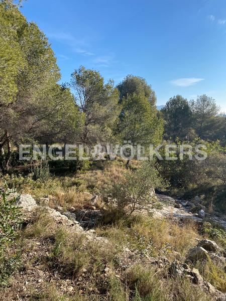 Foto c14a8cea-bf52-4a6f-a858-9fab008ecb37. Terreno residencial parcela amplia junto al bosque en Can Pei en Sitges