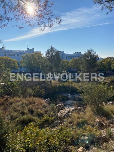 Foto c1b94ab0-6a85-4d38-872a-72e54da35522. Terreno residencial parcela amplia junto al bosque en Can Pei en Sitges