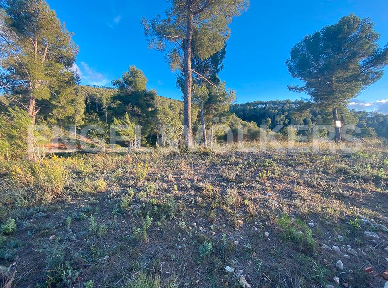 Foto 79c33697-fcb2-4fa5-8677-13fff9b8e2f0. Terrain résidentiel dans Vallirana