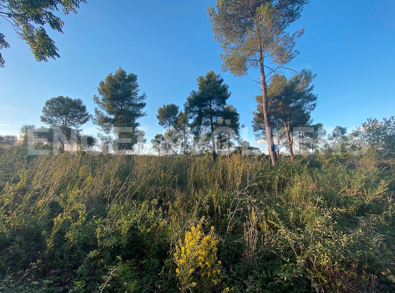 Foto af50d5ce-8c0a-4e23-ab11-2fa0770d48f4. Terrain résidentiel dans Vallirana