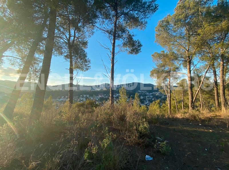 Foto ce771cc1-e754-4f24-bf0d-2cda74d95424. Terrain résidentiel dans Vallirana