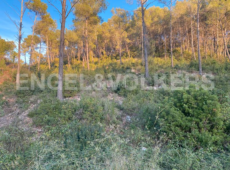 Foto e12fc0ff-1905-4825-9dd5-ea2b18519e56. Terrain résidentiel dans Vallirana