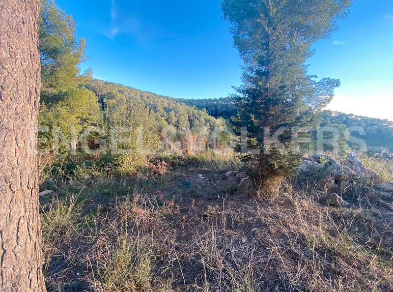 Foto 30888c3e-0126-4d67-8be9-7b811b2dc45a. Terrain résidentiel dans Vallirana