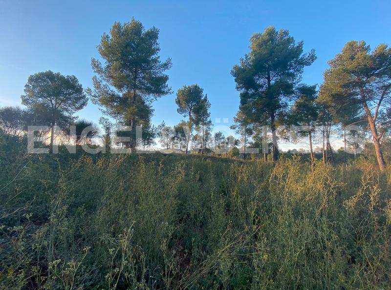 Foto 30ac9a7b-6b73-4d8d-be0e-2735d497e781. Terrain résidentiel dans Vallirana