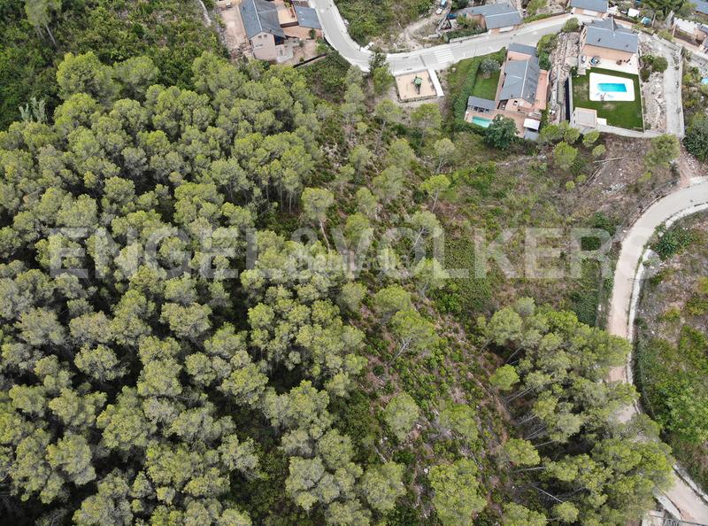 Foto 46cb4625-cffe-4f0c-9e91-80ae09b82b55. Terrain résidentiel dans Vallirana