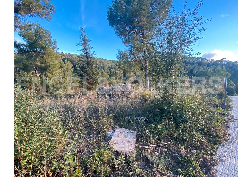 Foto 7f943d5d-a809-4c1e-8c8c-a1c71ceb6366. Terrain résidentiel dans Vallirana