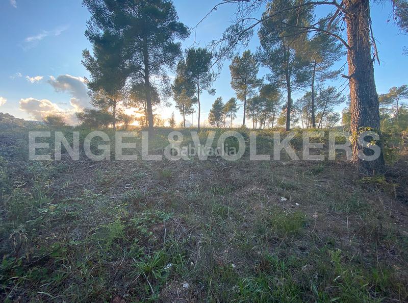 Foto 964e0ef0-c2ac-45ad-b794-4d921f06f8a8. Terrain résidentiel dans Vallirana