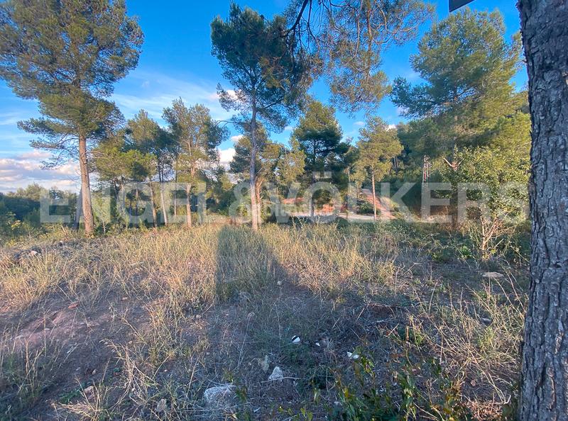 Foto a943753c-4d81-4590-be9e-2cddd0fa294d. Terrain résidentiel dans Vallirana