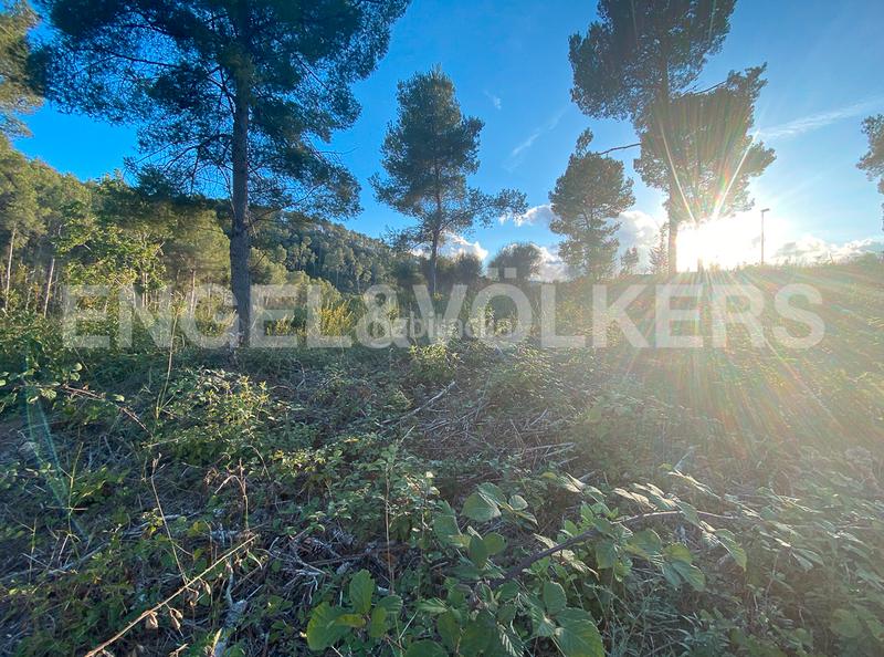 Foto b7216054-5ac3-4f7c-a123-5f29dd3b0f8b. Terrain résidentiel dans Vallirana