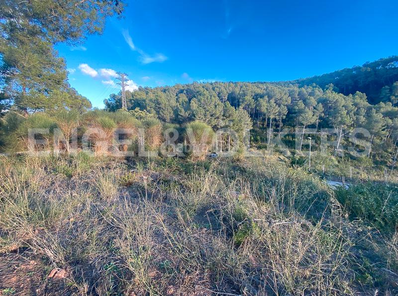 Foto bbfd9afa-8262-428f-91db-090087d55c09. Terrain résidentiel dans Vallirana