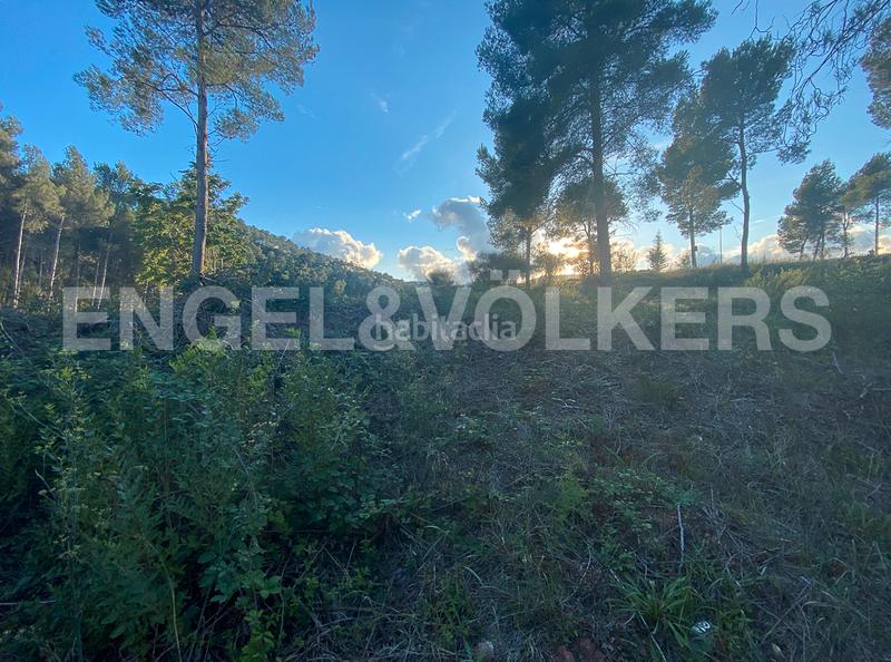 Foto d0e11ec3-31e7-4d2d-acc4-de1d1eb794a7. Terrain résidentiel dans Vallirana