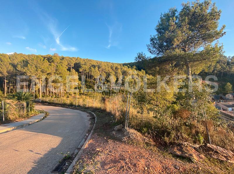 Foto d4ed4332-1a87-4939-96a8-d73363c75c8e. Terrain résidentiel dans Vallirana