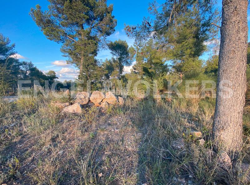 Foto f2afd286-e0b6-4956-9406-3c288f79b2d4. Terrain résidentiel dans Vallirana