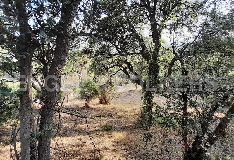 Foto 45abd6f1-bdc9-433d-a28e-1528fb231048. Terreny residencial a Mas Mora-Sant Daniel Tordera