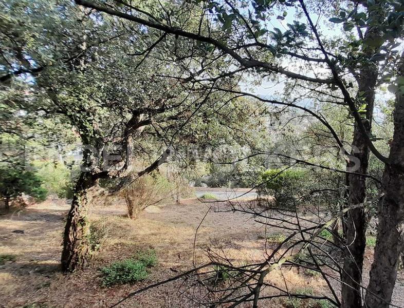 Foto bc38901b-15d9-414a-b770-c4c60fc6bd02. Terreny residencial a Mas Mora-Sant Daniel Tordera