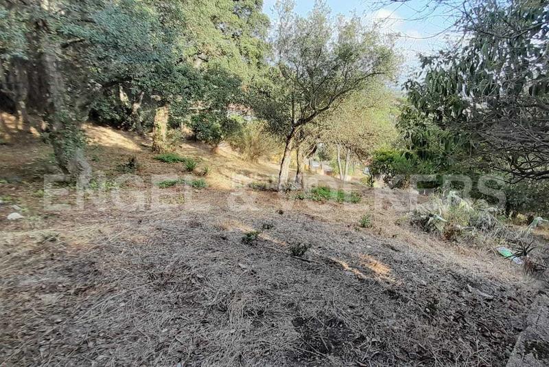 Foto d0bd894d-45f6-48c4-a5f6-15d236db3a04. Terreny residencial a Mas Mora-Sant Daniel Tordera