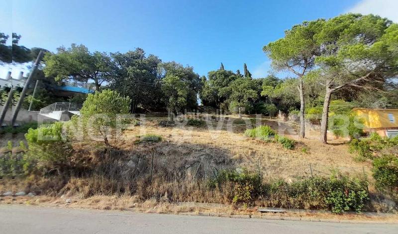 Foto f338fcfa-2375-4f22-8f0b-4707471a70cd. Terreny residencial a Mas Mora-Sant Daniel Tordera