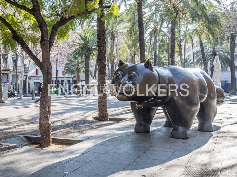 Foto f0ee8e0e-99b5-4283-9d7b-3f1fd89d5cd9. Pis amb calefacció a Raval Barcelona