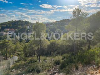 Terreny residencial  Avinguda les palmeres. Parcela con proyecto de obra nueva