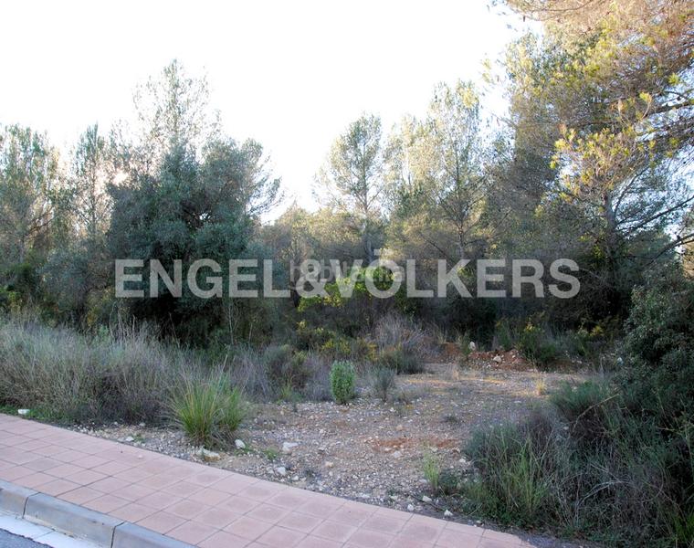 Foto 1dbaaf31-9210-475e-bd7b-69ea325c5e8b. Terreny residencial a Mas Alba Sant Pere de Ribes