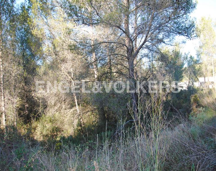Foto 26a5ab95-8e66-440d-b355-5ae8e386ac01. Terreny residencial a Mas Alba Sant Pere de Ribes
